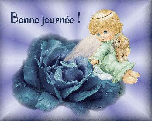 bonjour les amis