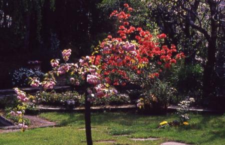 Le jardin